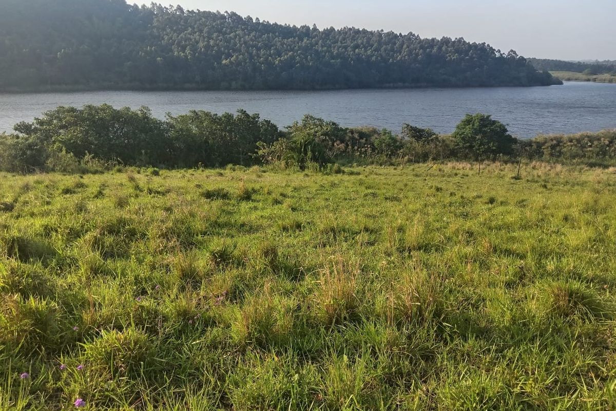 A scenic view of the natural landscape featuring open grassy terrain overlooking a tranquil lake and forested hills.