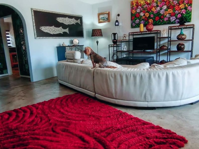 Spacious living room featuring polished concrete flooring and a distinctive arched entryway leading to adjacent areas.