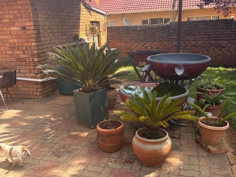 A paved outdoor patio area featuring a covered structure, brick boundary walls, and established garden elements, providing a functional space for outdoor living.