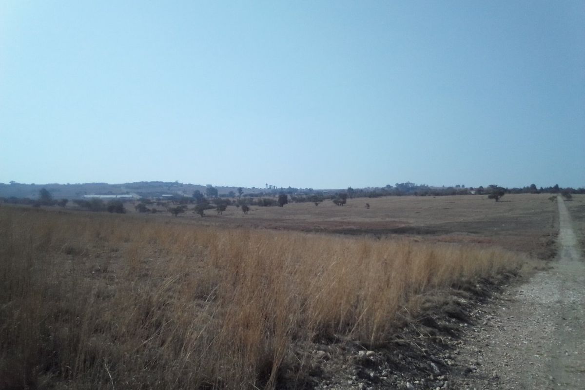 A wide-angle view of an expansive, undeveloped residential plot featuring dry grassland and a gravel access track.