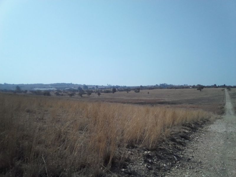 A wide-angle view of an expansive, undeveloped residential plot featuring dry grassland and a gravel access track.