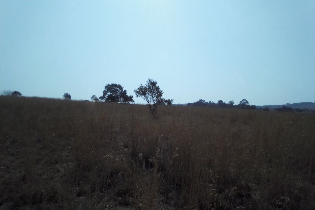 A view of an undeveloped residential vacant land plot featuring natural grass and scattered trees.