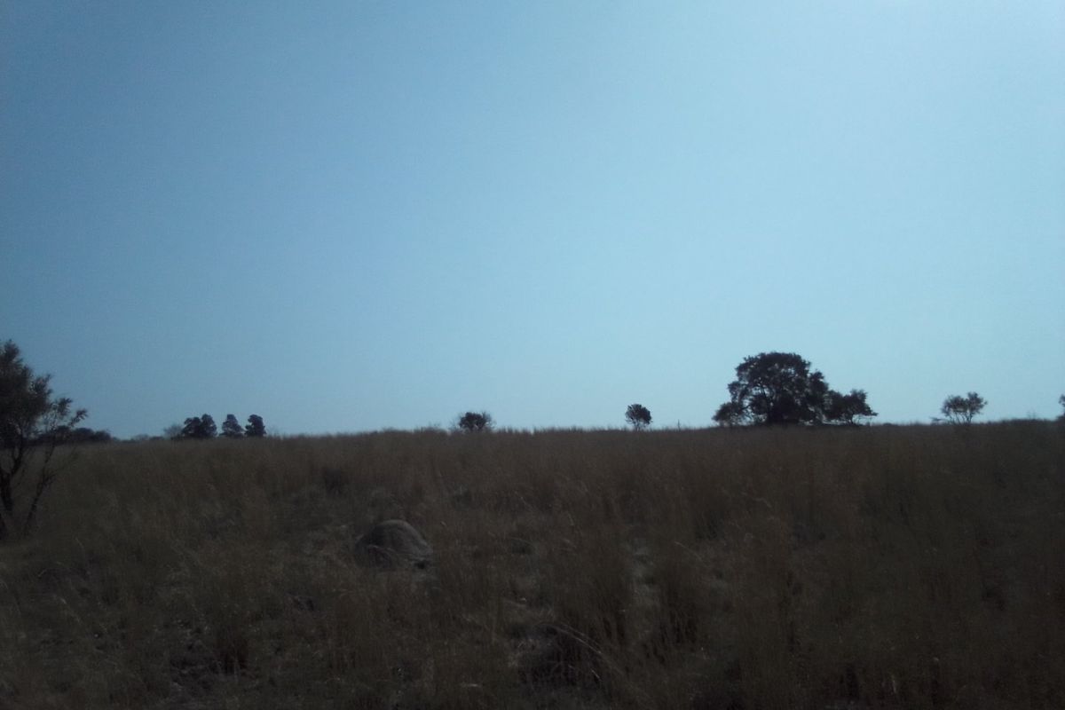 A view of a vacant residential plot featuring natural grass and scattered mature trees under a clear sky.