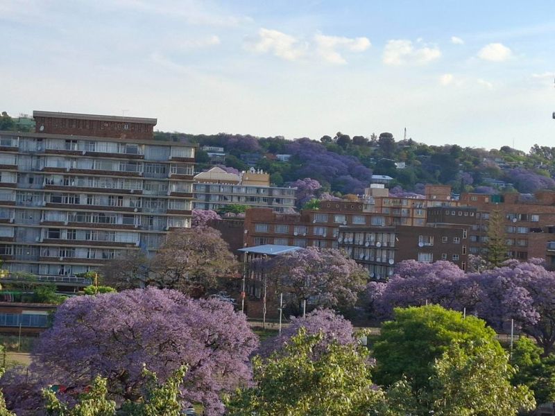 An elevated view of the surrounding neighbourhood featuring mature trees and residential apartment buildings.