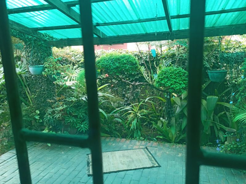 A covered patio area featuring a timber pergola with translucent roofing and brick paving, overlooking a lush garden space.