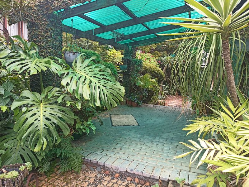 A covered outdoor patio area featuring a timber pergola with green corrugated roofing and brick paved flooring, surrounded by established garden greenery.