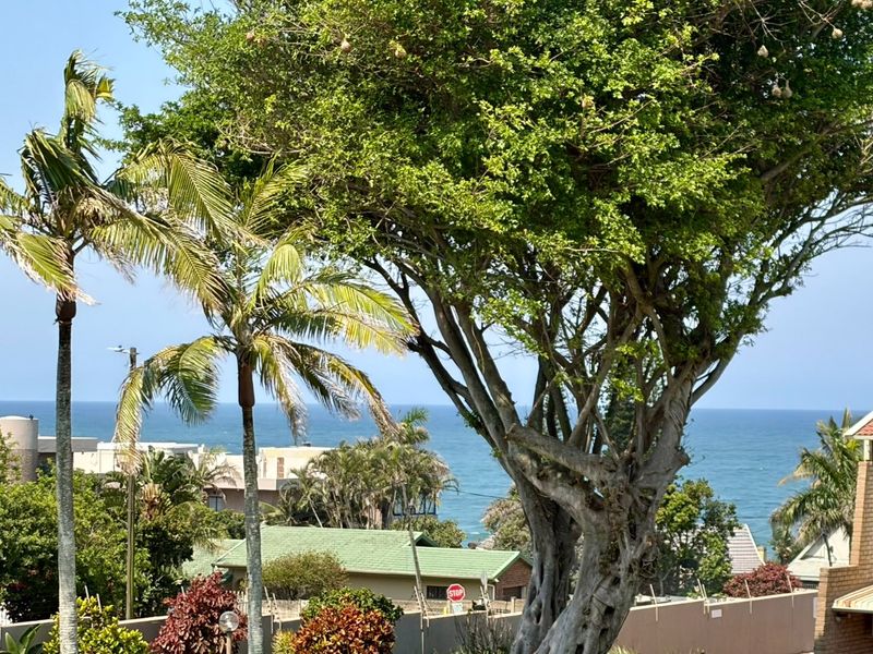 A scenic elevated view overlooking the ocean, featuring mature trees and surrounding residential properties.