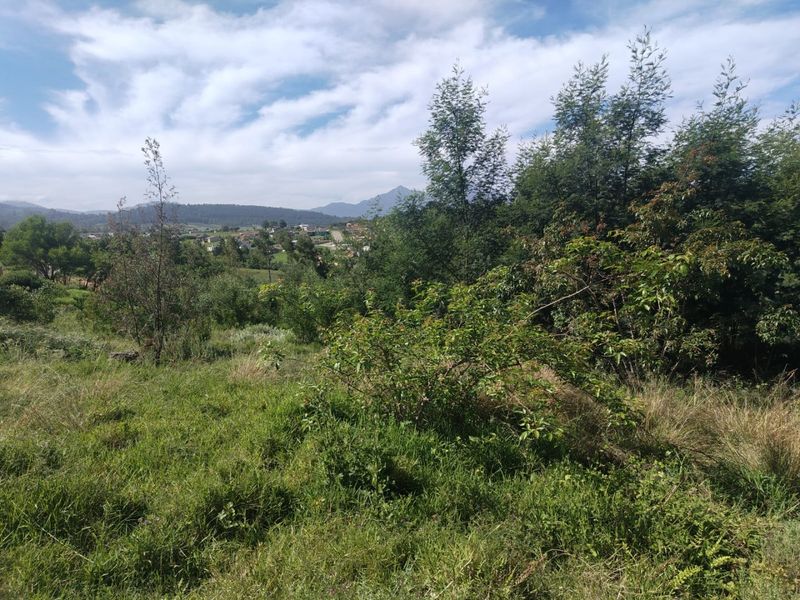 A scenic view of the natural landscape and surrounding hills from the vacant residential property.