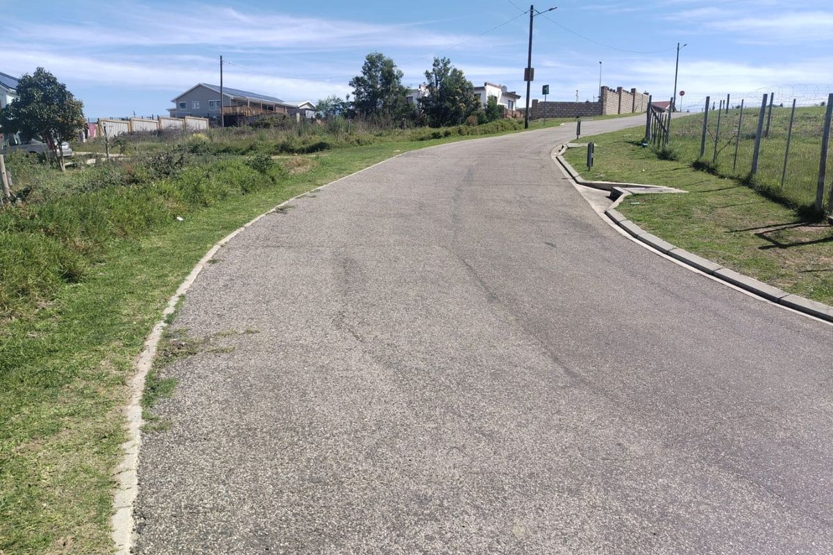 A view of the paved residential street and surrounding verge, showing established infrastructure and access to the vacant land.