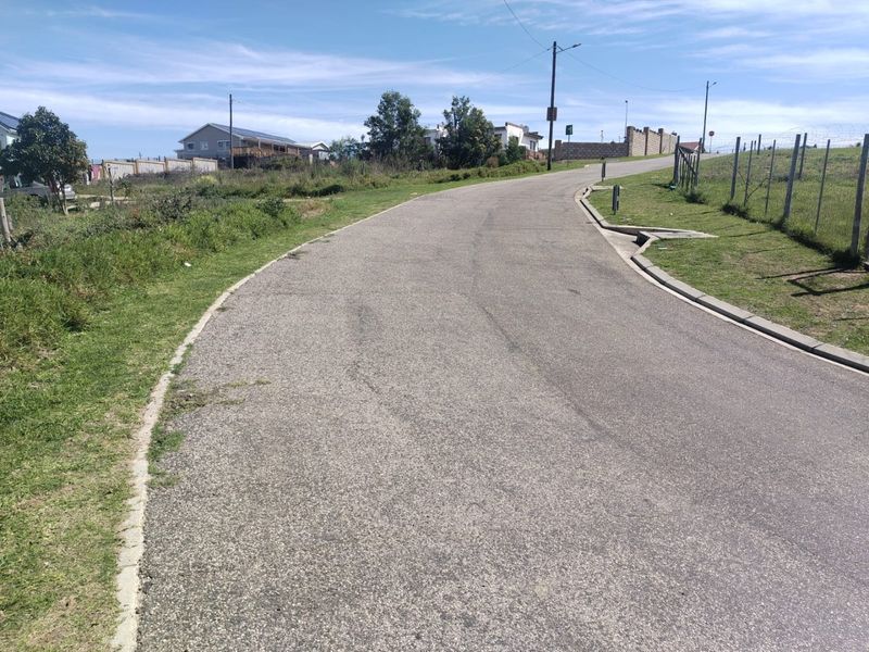 A view of the paved residential street and surrounding verge, showing established infrastructure and access to the vacant land.