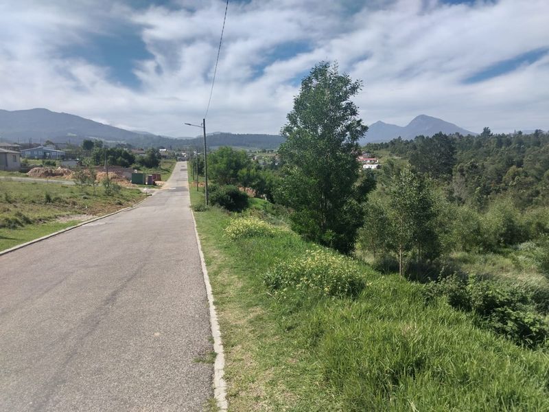 A view of the paved street and surrounding landscape, featuring established trees and mountain views in a residential area.