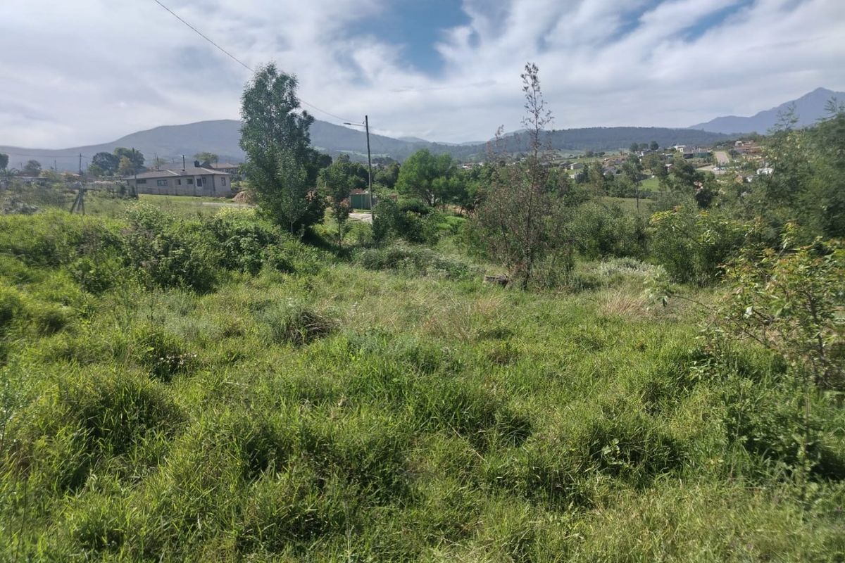 An undeveloped residential plot featuring overgrown vegetation and scenic mountain views in the background.