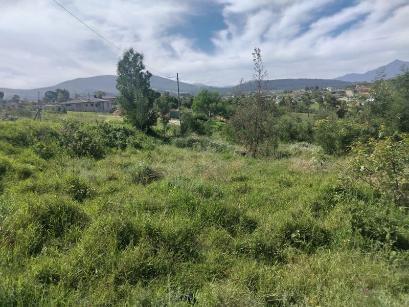 An undeveloped residential plot featuring overgrown vegetation and scenic mountain views in the background.