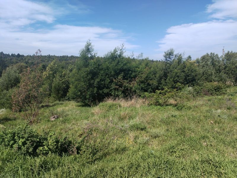 A view of a vacant residential plot featuring natural grassland and established trees, offering a peaceful and private setting for future development.