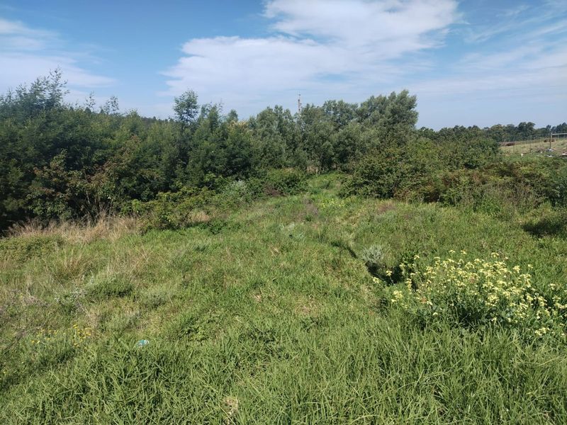 A view of an undeveloped residential plot featuring natural grassland and mature trees.