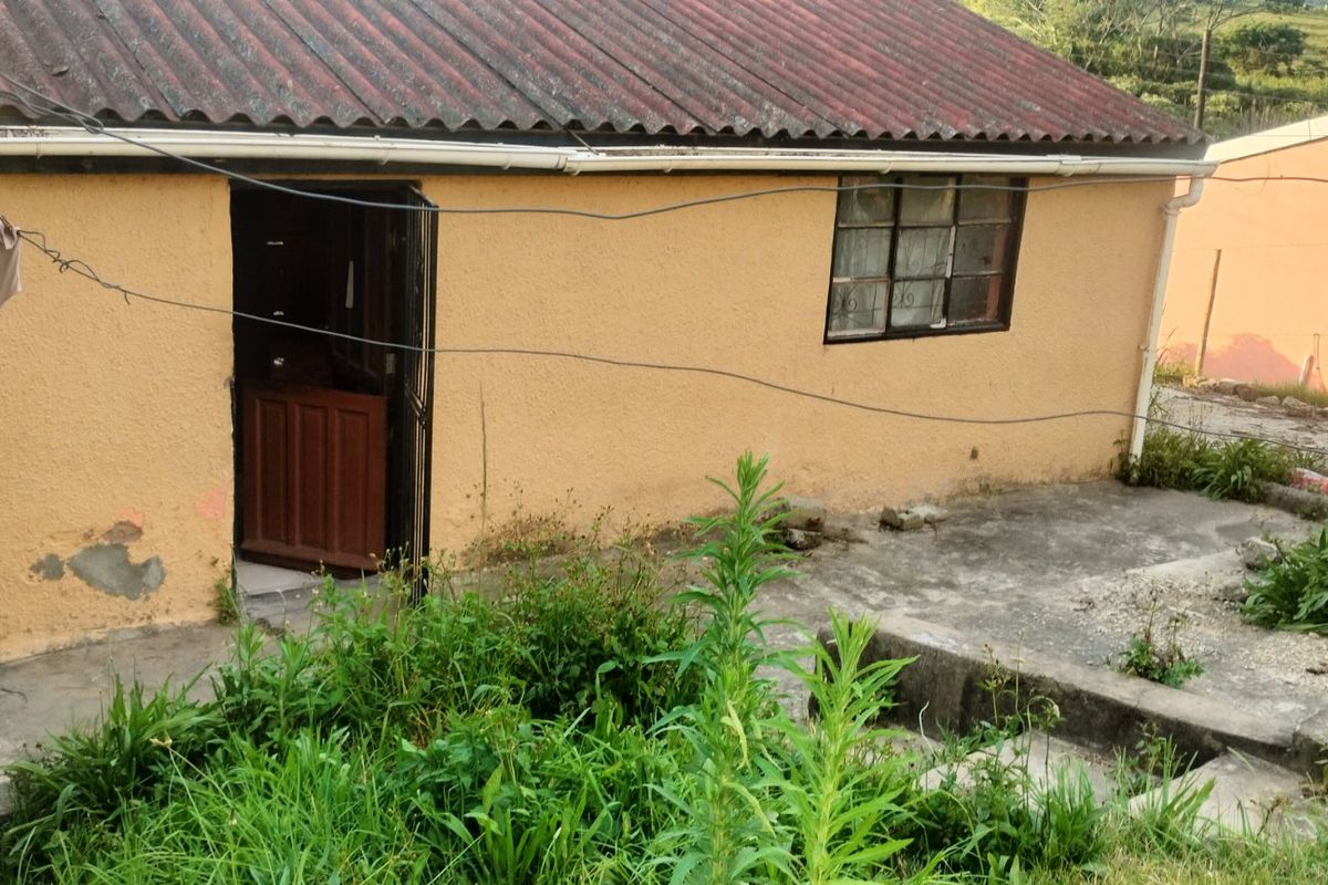 Rear view of a detached house featuring a corrugated metal roof, concrete patio area, and steel window frames, requiring exterior maintenance and landscaping.