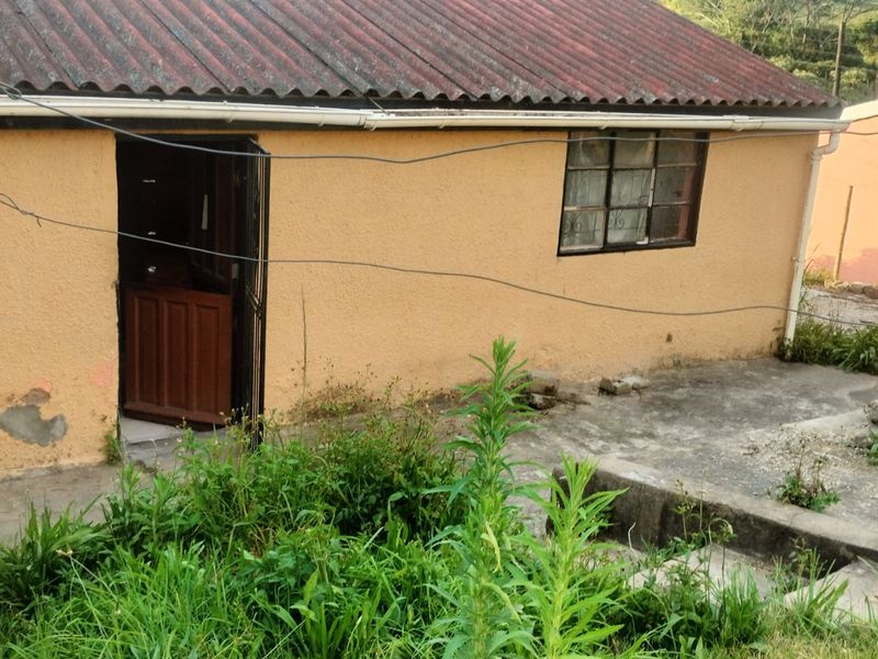 Rear view of a detached house featuring a corrugated metal roof, concrete patio area, and steel window frames, requiring exterior maintenance and landscaping.