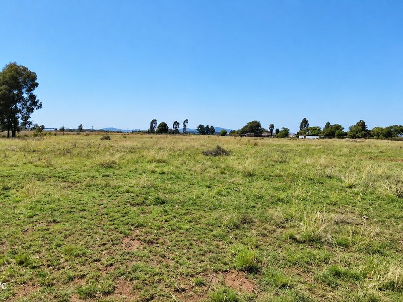 A wide-angle view of the expansive open pasture land featuring natural grass and mature trees under a clear blue sky.