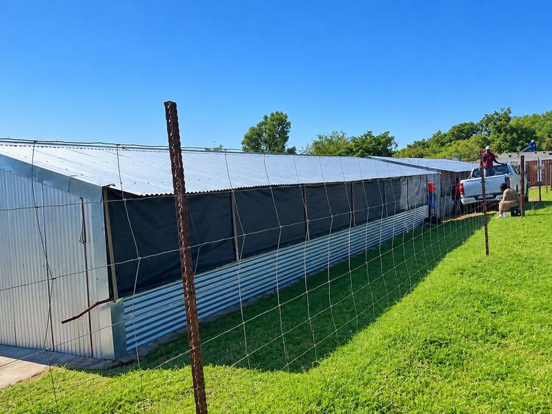 INVESTMENT FARM FOR SALE  WITH HUGE POTENTIAL IN LANSERIA - Photo 10