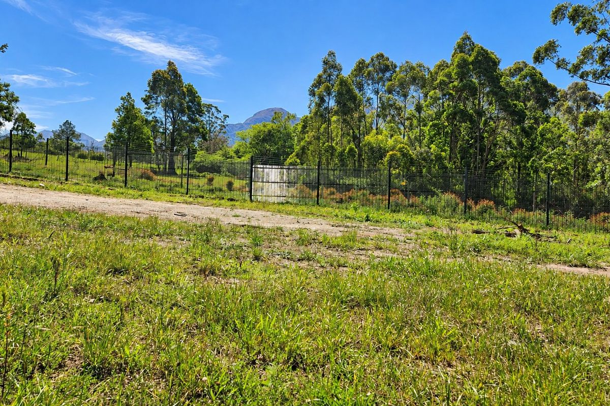 A view of a grassy plot featuring a wire mesh perimeter fence, mature trees, and distant mountain scenery.