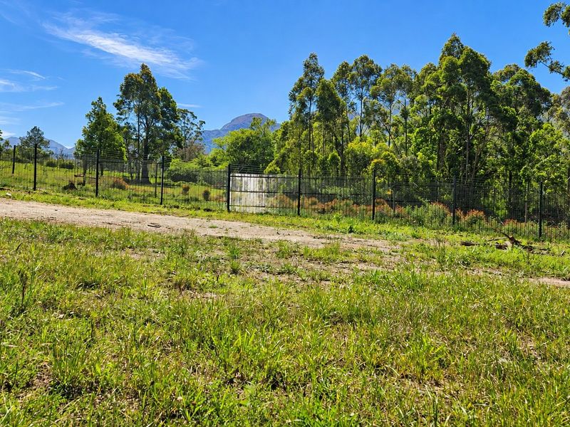 A view of a grassy plot featuring a wire mesh perimeter fence, mature trees, and distant mountain scenery.