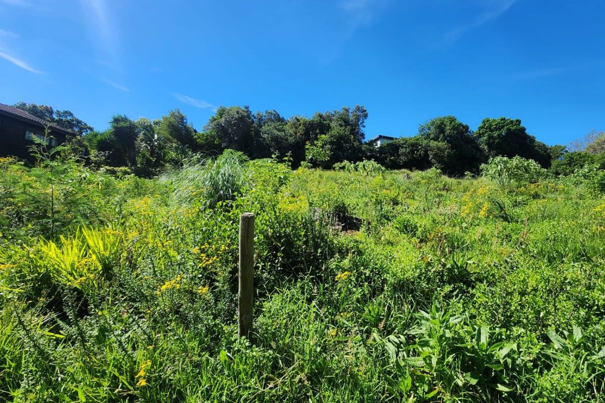 A view of a sloped, undeveloped residential plot featuring dense natural vegetation and a single wooden boundary marker.