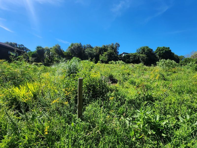 A view of a sloped, undeveloped residential plot featuring dense natural vegetation and a single wooden boundary marker.