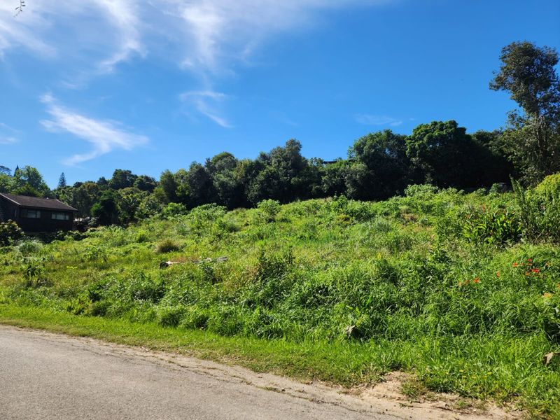 A view of a vacant residential plot featuring sloped terrain and established vegetation, with direct access from an adjacent asphalt road.