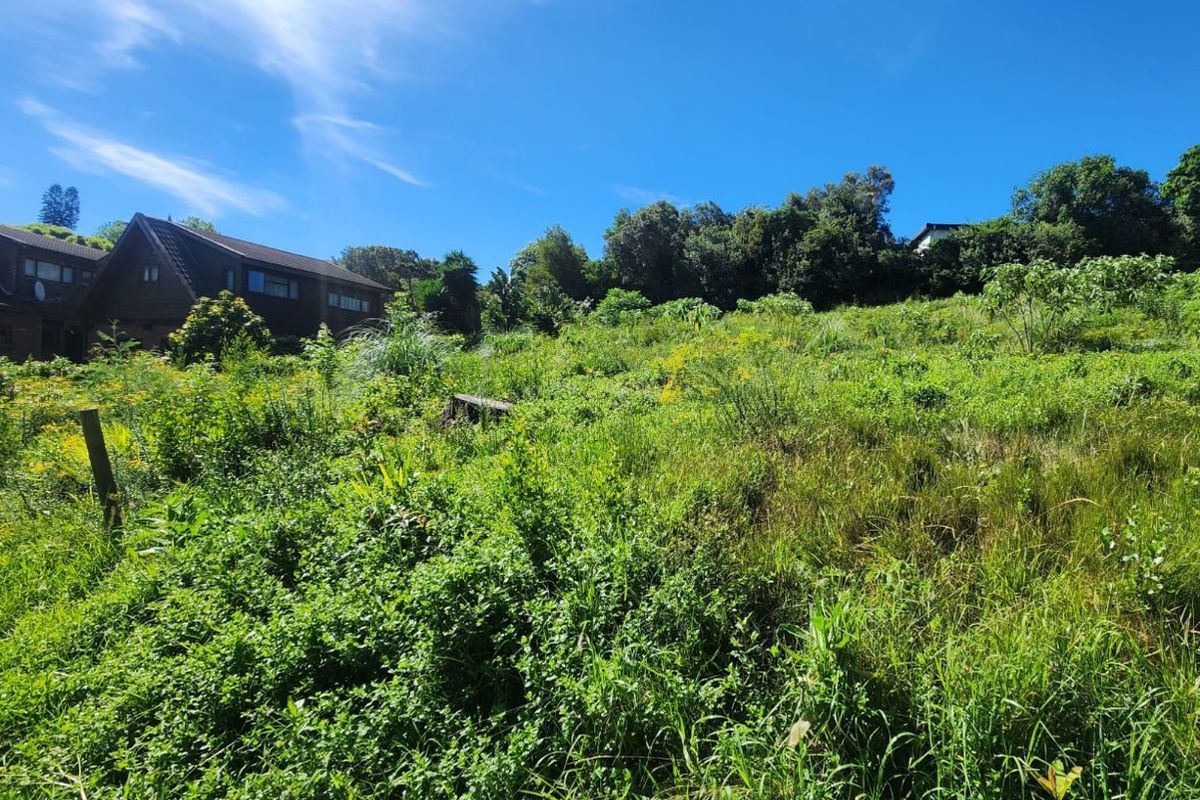 A view of a sloped, undeveloped residential plot covered in natural vegetation, adjacent to existing residential properties.