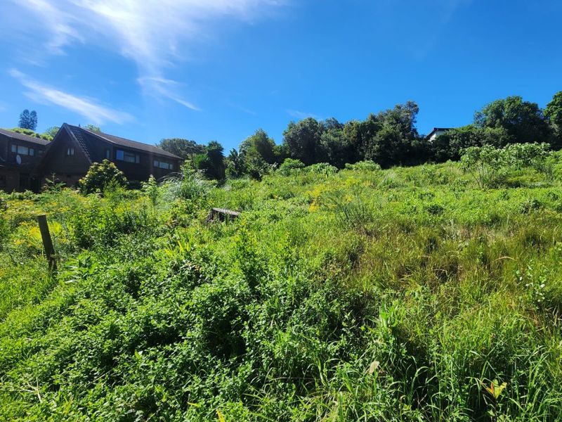 A view of a sloped, undeveloped residential plot covered in natural vegetation, adjacent to existing residential properties.