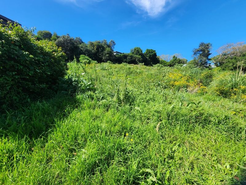 A view of a sloped, undeveloped residential plot covered in wild grass and mature trees under a clear blue sky.