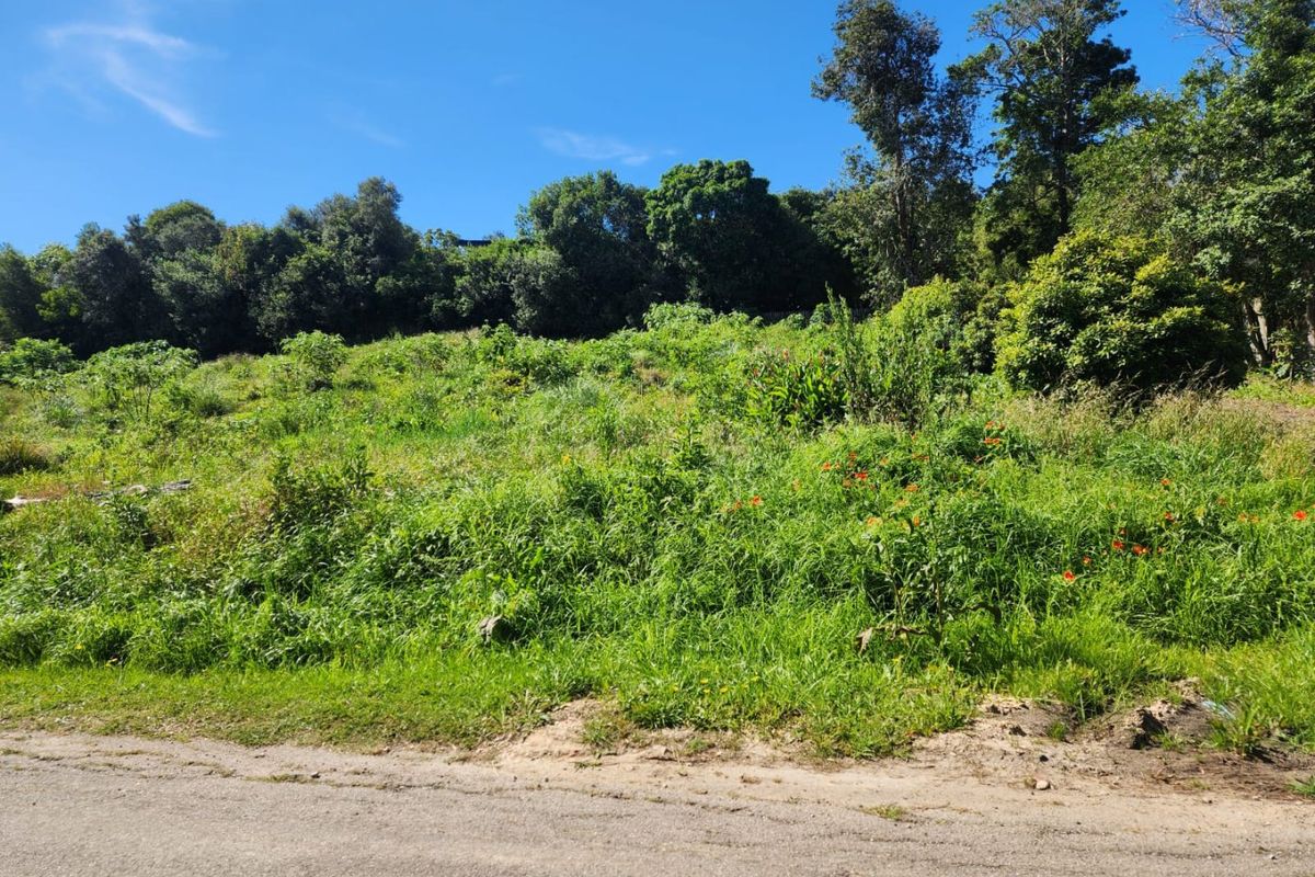 A view of a sloped, undeveloped residential plot featuring mature trees and natural vegetation, accessible from the adjacent road.
