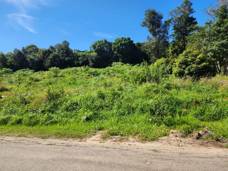 A view of a sloped, undeveloped residential plot featuring mature trees and natural vegetation, accessible from the adjacent road.