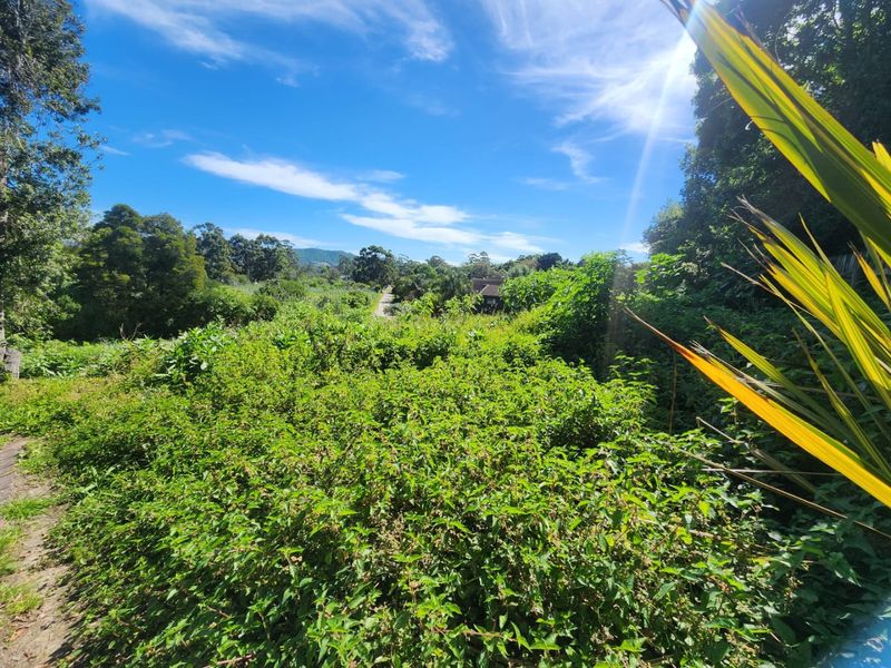 A scenic view overlooking a lush, overgrown residential plot with mature trees and distant landscape vistas under a clear blue sky.