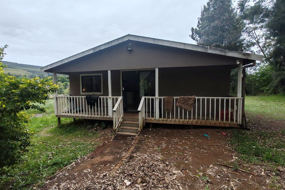 A detached dwelling featuring a raised timber deck with balustrade, sliding door access, and a pitched roof, set within a natural garden environment.