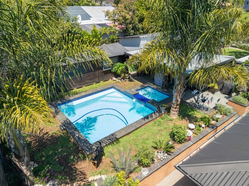 Aerial view of a backyard featuring a swimming pool with an integrated spa, surrounded by established palm trees and landscaped garden areas.