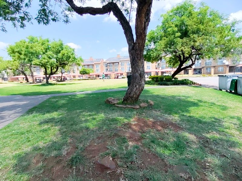 A well-maintained communal garden area featuring mature trees, expansive green lawns, and paved walkways within the apartment complex grounds.
