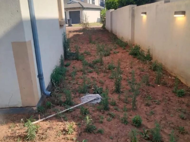 A rear exterior space featuring a boundary wall with installed lighting and a downpipe, currently requiring landscaping and ground maintenance.