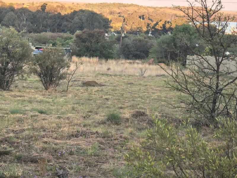 Vacant Stand with Exceptional views of the Dam and Town - Photo 7