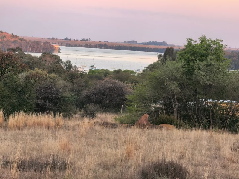 Vacant Stand with Exceptional views of the Dam and Town - Photo 3