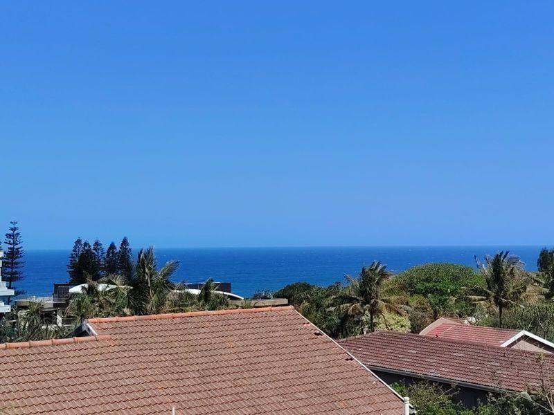 A clear elevated view overlooking the ocean with surrounding coastal vegetation and residential rooftops.