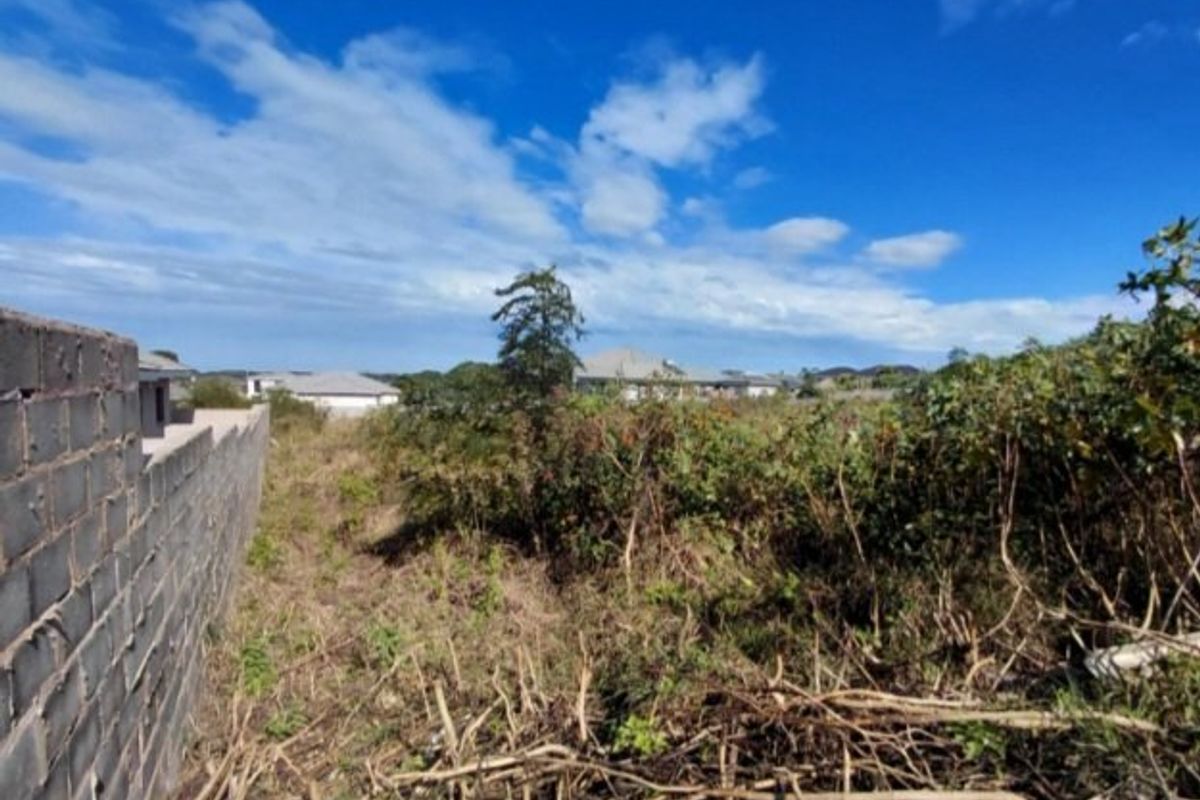 An undeveloped plot of land featuring a boundary wall and significant overgrown vegetation, offering potential for landscaping or future development.