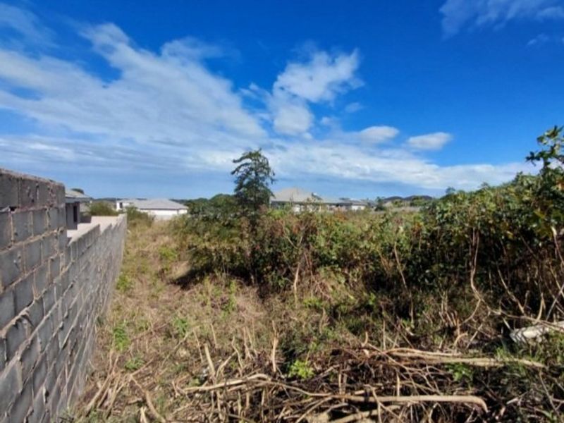 An undeveloped plot of land featuring a boundary wall and significant overgrown vegetation, offering potential for landscaping or future development.