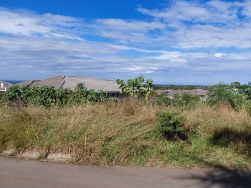 A view of an undeveloped residential plot featuring overgrown grass and vegetation, situated along an asphalt road with a concrete curb.