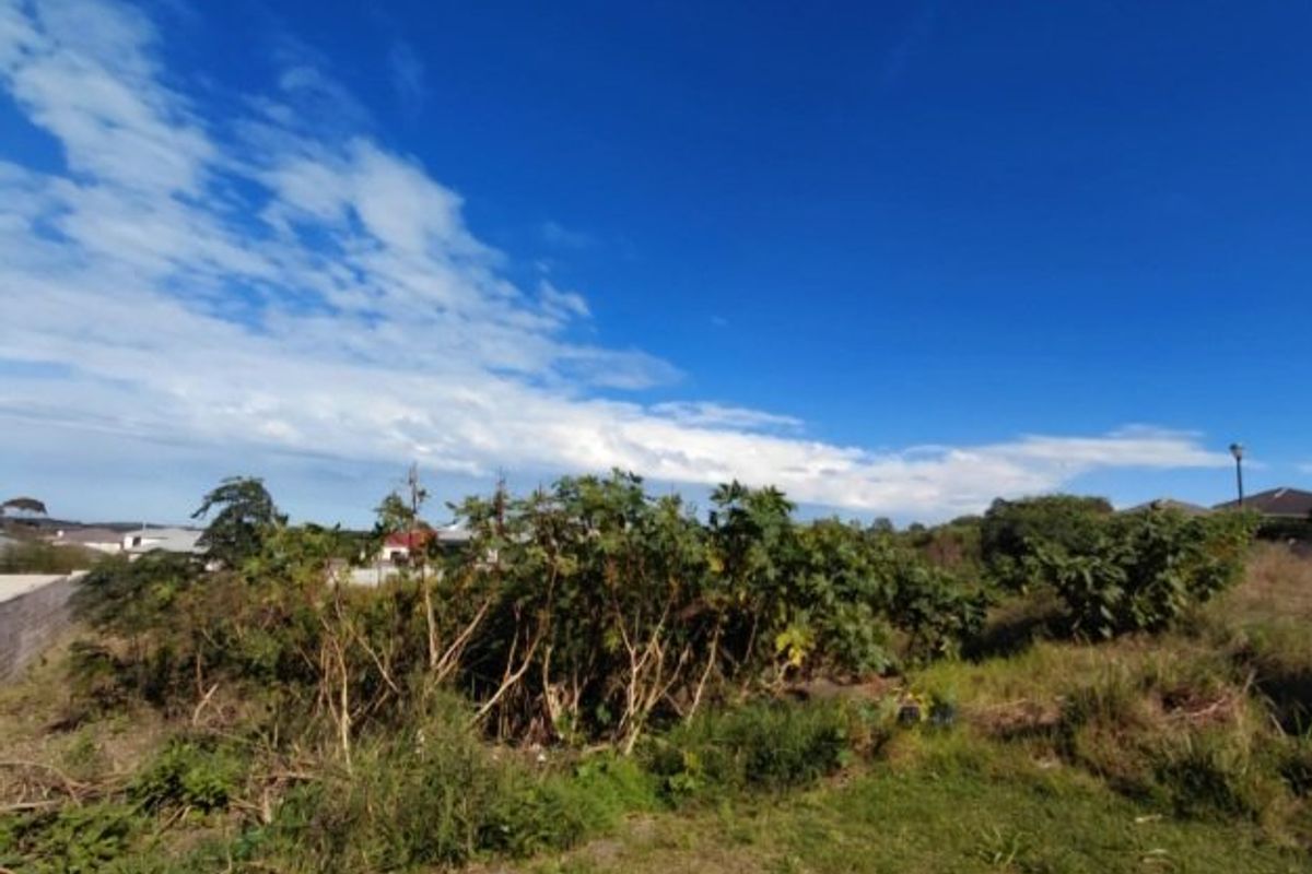 An undeveloped garden area featuring overgrown vegetation and natural terrain, offering potential for landscaping or future development.