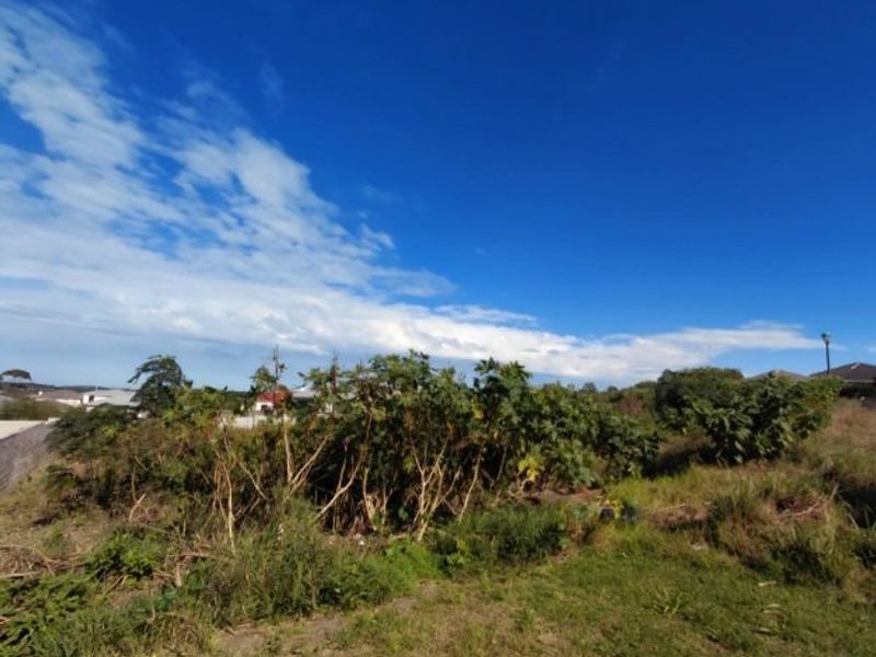 An undeveloped garden area featuring overgrown vegetation and natural terrain, offering potential for landscaping or future development.