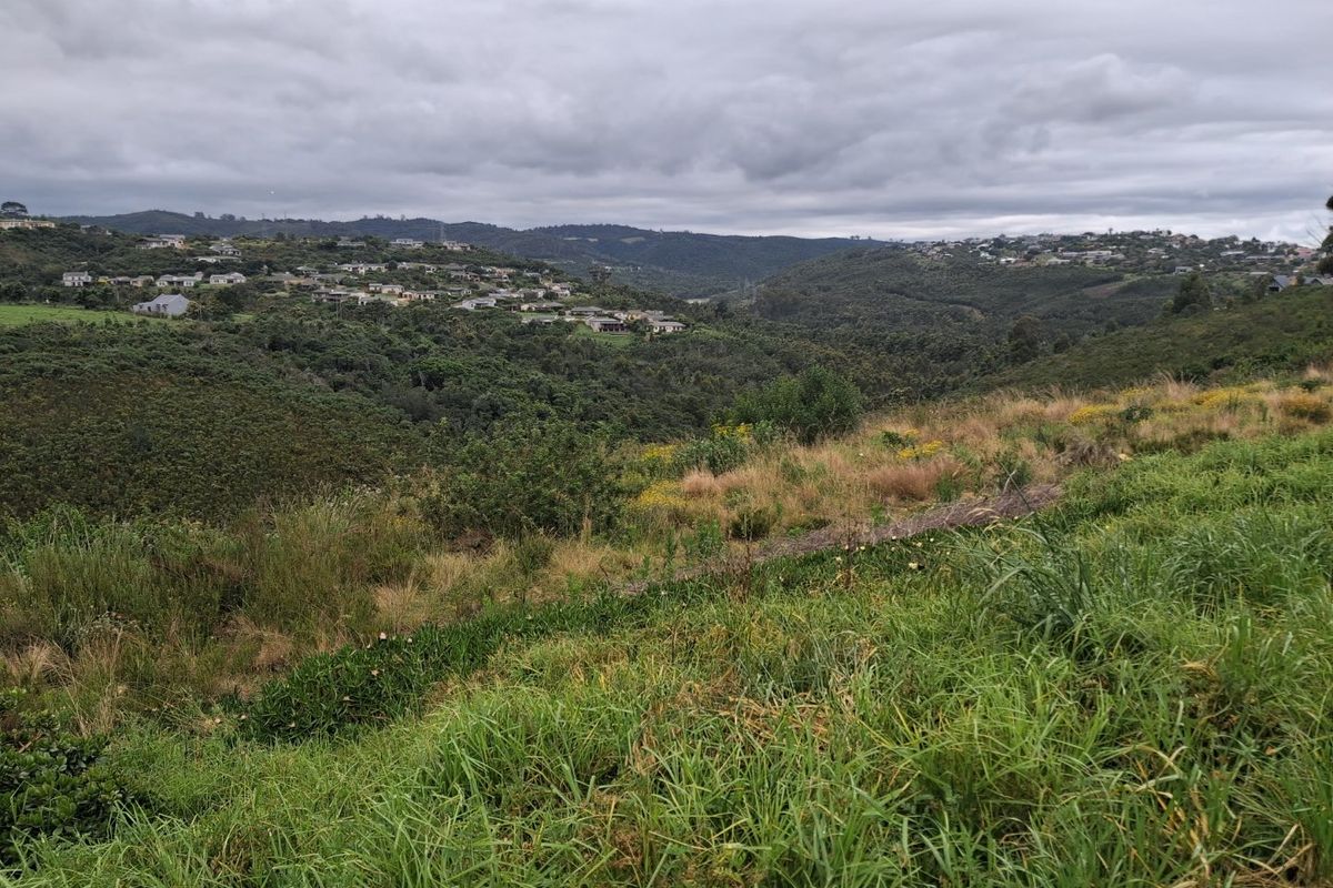 A scenic view overlooking a lush green valley with residential housing developments visible on the distant hillsides.