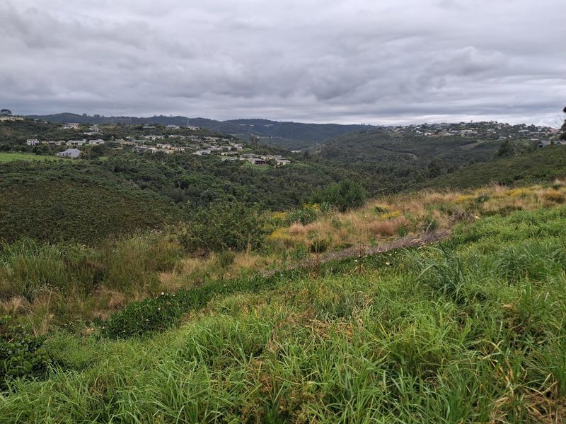 A scenic view overlooking a lush green valley with residential housing developments visible on the distant hillsides.