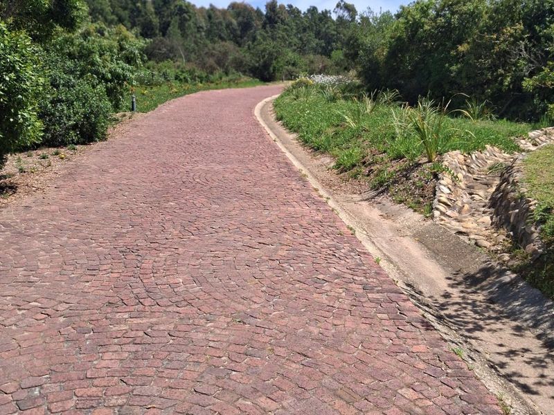 A well-maintained cobblestone driveway leading through a landscaped residential property with a concrete drainage channel along the side.