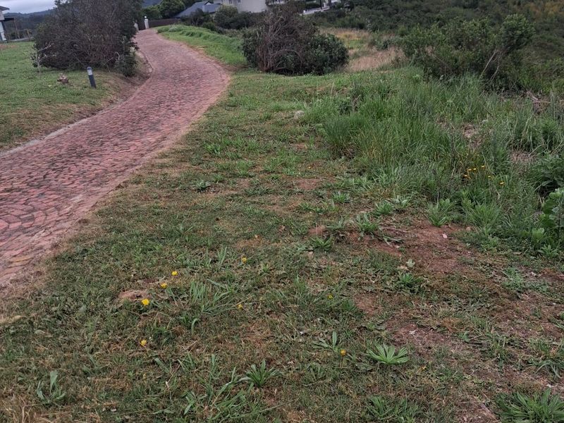 A view of a residential vacant land plot featuring a paved driveway and natural grass surroundings in a quiet estate setting.